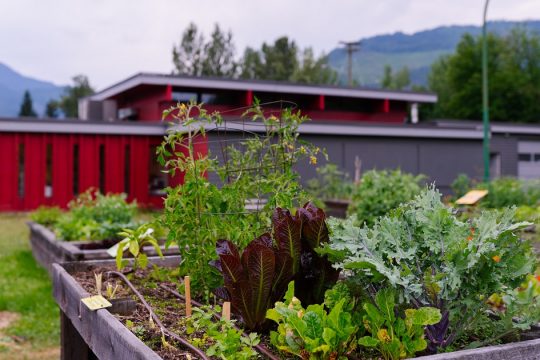 Securing Local Food—and the Non-profit That Promotes It